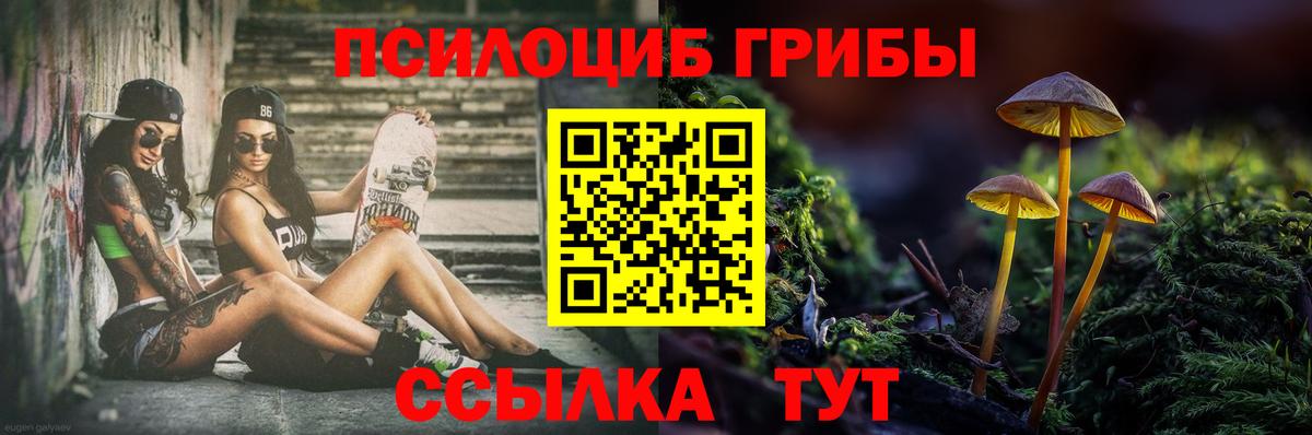 Назрань  где купить наркоту  Вход с VPN  Галлюциногенные грибы Psilocybine cubensis 